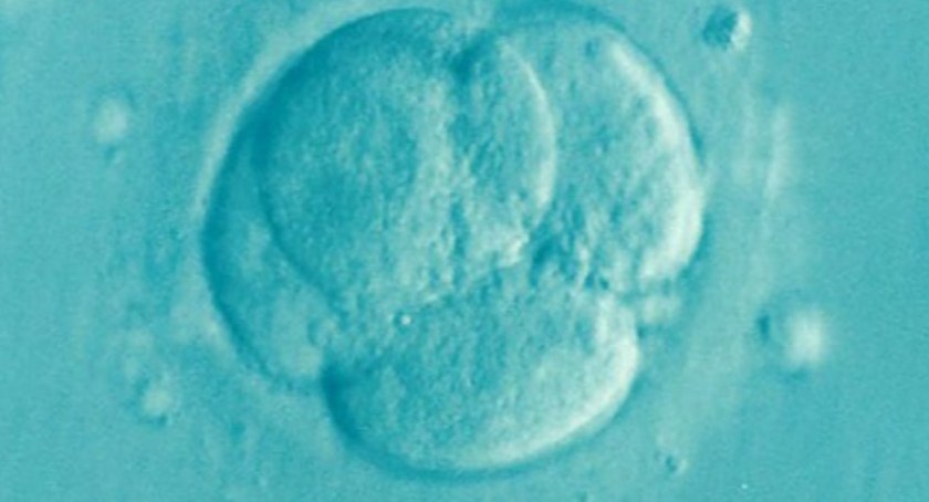Rusza jeleniogórski program in vitro