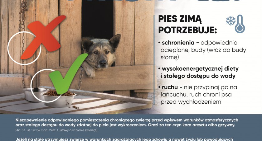 Zima to trudny czas dla zwierząt