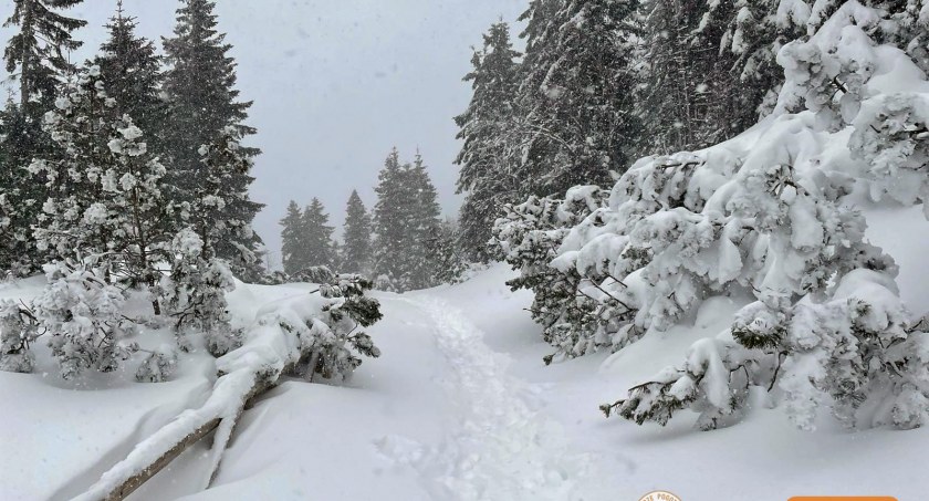 Trzeci stopień zagrożenia lawinowego w Karkonoszach!