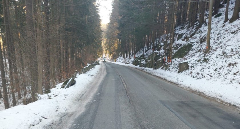 Remont drogi powiatowej Podgórzyn-Borowice-Sosnówka
