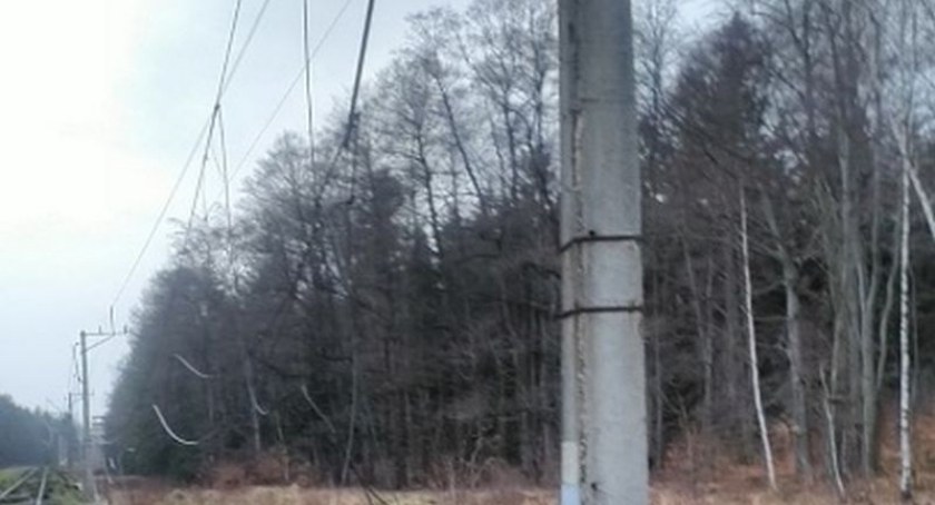 Kradli przewody trakcji kolejowej. Wpadli w ręce policji.