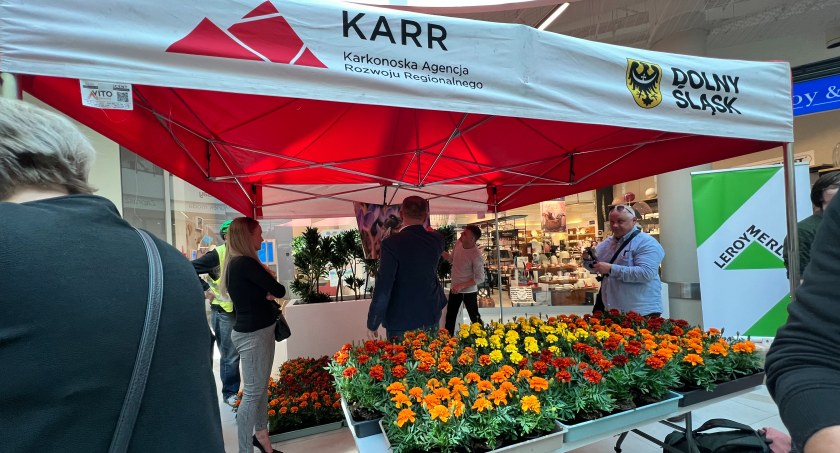 Kwiatek dla pszczoły - proekologiczna akcja w Galerii Nowy Rynek