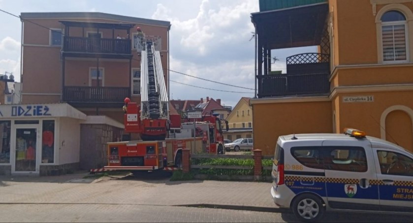 Rój na tarasie, gniazdo z pisklakami w budynku - interwencje strażników