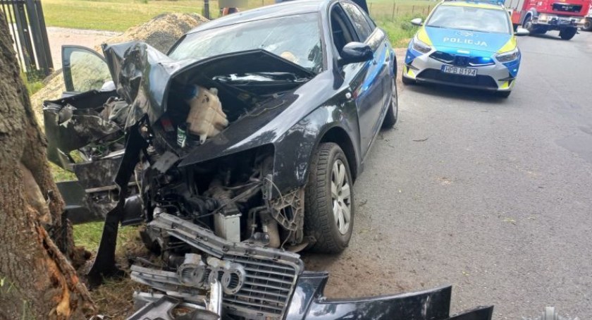 Pijany kierowca Audi wjechał w drzewo. Miał 2,5 promila