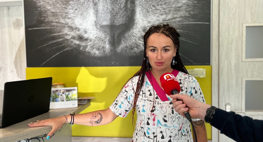 Wirus groźny dla kotów. Lekarz weterynarii z Jeleniej Góry uspokaja - to nie jest epidemia