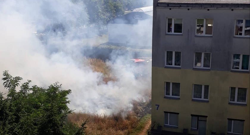 Na Zabobrzu płonęła trawa