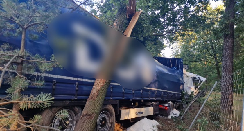 Zjechał z autostrady i ściął przydrożne drzewa. Zasnął?