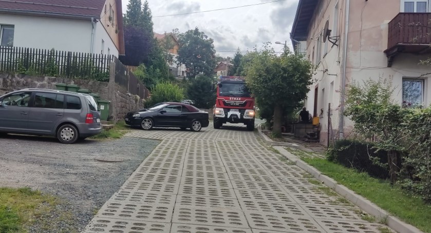 Mężczyzna wielokrotnie użądlony przez osy. Zastawiony przejazd utrudniał dojazd służbom ratunkowym.