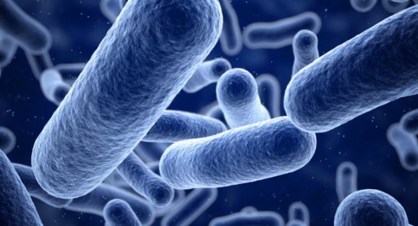 Kolejna epidemia? Polacy boją się zakażenia Legionellą