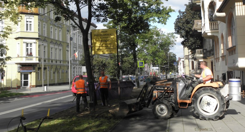 Centrum Jeleniej Góry zazieleni się
