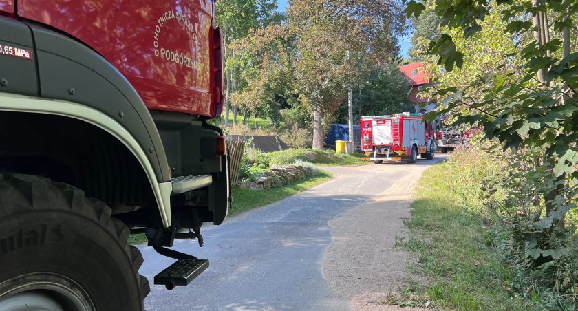 Wezwanie w dobrej wierze. Miał być pożar lasu, było ognisko