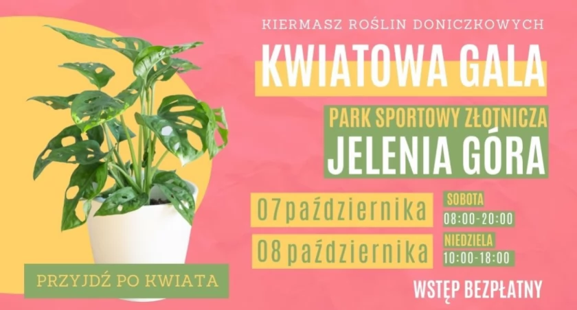 Kwiatowa Gala po raz drugi w Jeleniej Górze