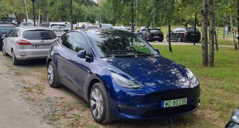 Elektrykiem pod prąd - Jakie wady ma nasza Tesla