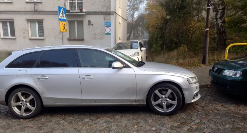 To są prawdziwi Mistrzowie Parkowania