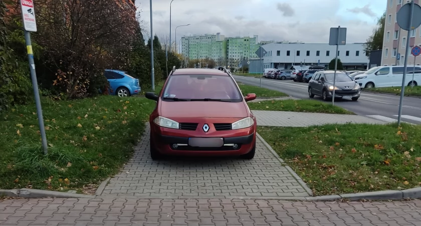 Ten mistrz parkowania zasłużył na wyróżnienie