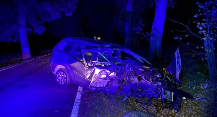 Przyczyną groźnego zdarzenia było niedostosowanie prędkości