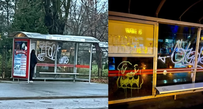 Pomazali wiaty przystankowe. Niespełnieni artyści czy zwykli wandale?