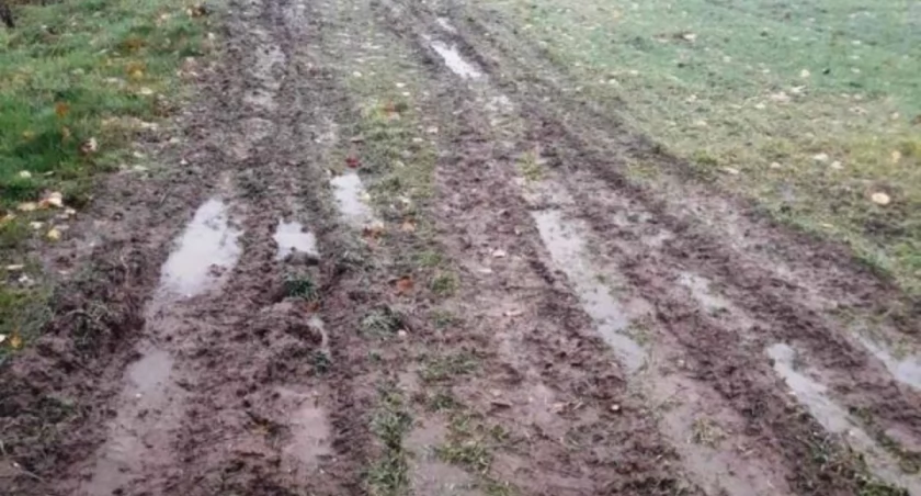 Terenówkami zniszczyli uprawy na polu