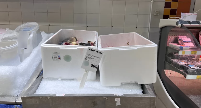 Ceny karpia w 2023 roku