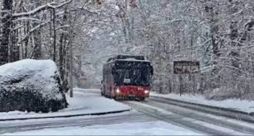 MZK Jelenia Góra ogranicza kursowanie autobusów