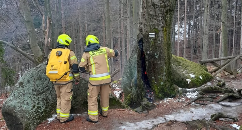 Płonące drzewo. Zamknięty czarny szlak 