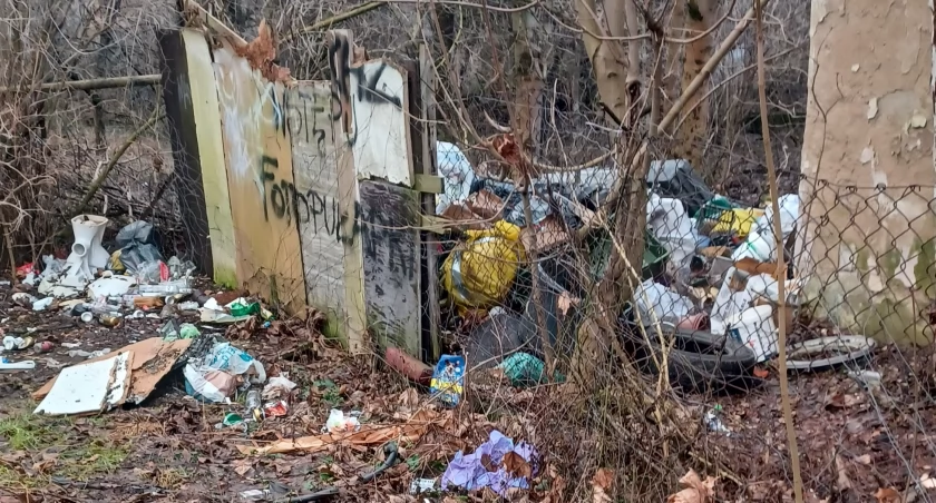 Spacer z psem po Cieplicach w otoczeniu śmieci i syfu