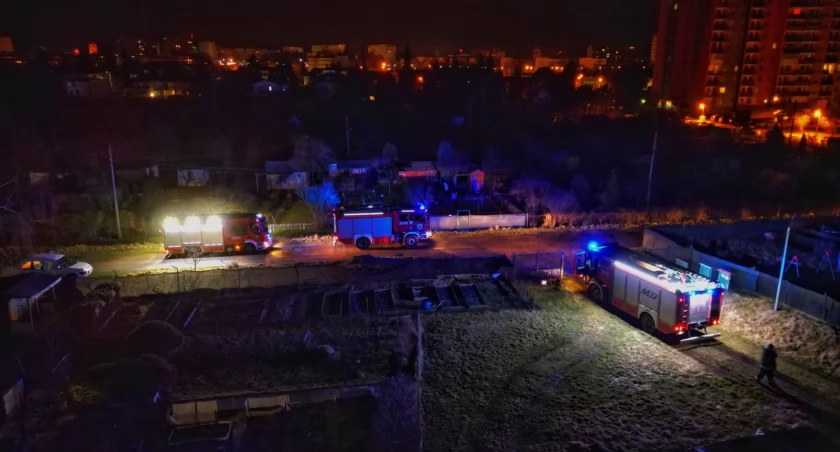 Pożar altanki ogrodowej przy ulicy Działkowicza