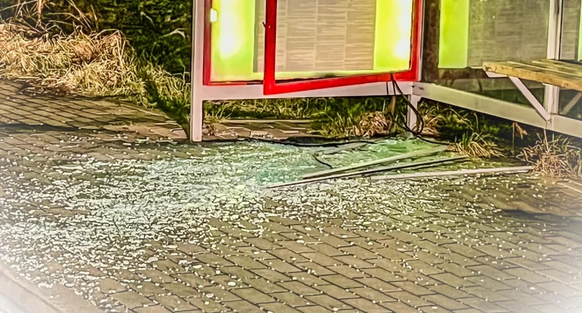 Jeleniogórska patologia. Wandal za przeciwnika wybrał przystanek