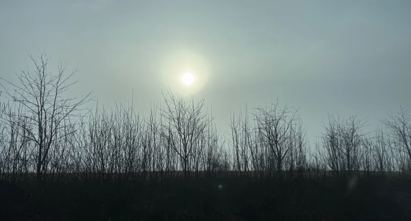 Mgliste poranki. Apel do kierowców i pieszych