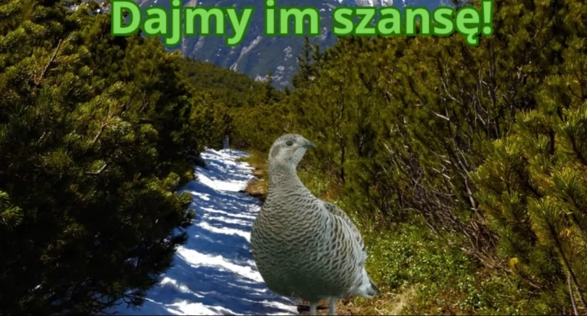 Karkonoski Park Narodowy zamknie część szlaków już 15 marca