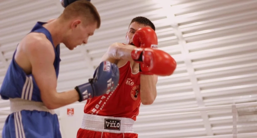 Pięściarze Red Fighters zdominowali Mistrzostwa Dolnego Śląska!