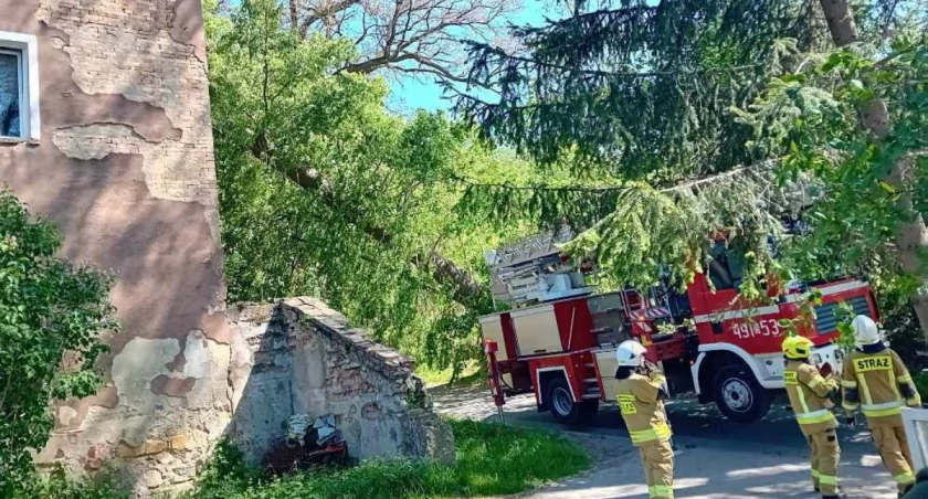 Mocno wieje w regionie. Drzewo spadło na budynek mieszkalny.