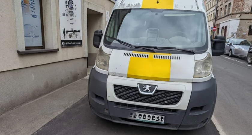 Mistrzowie Parkowania - dziś samochody dostawcze
