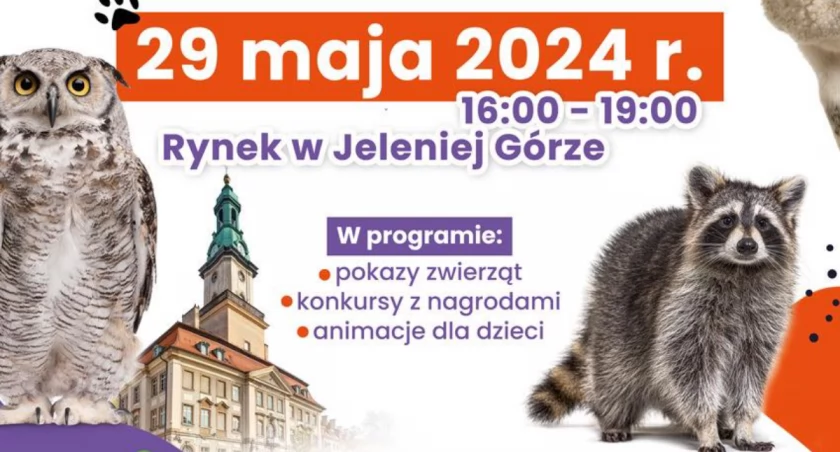 Popołudnie z nietypowymi zwierzętami domowymi w Jeleniej Górze