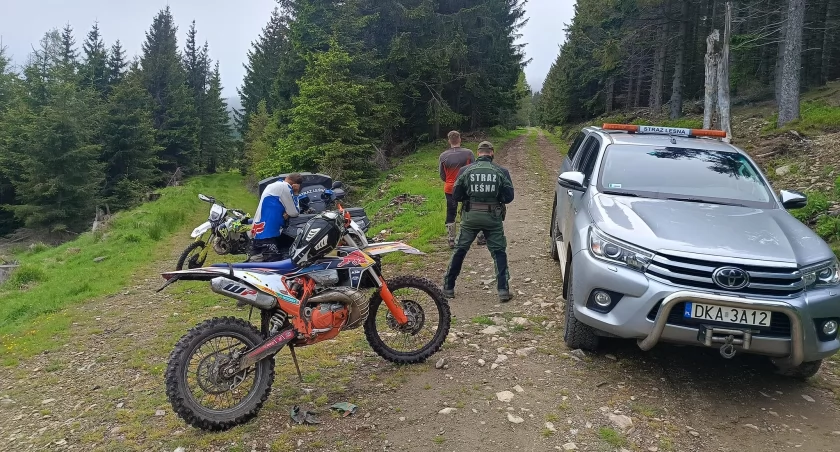 Mandat za jazdę motocyklem w lesie
