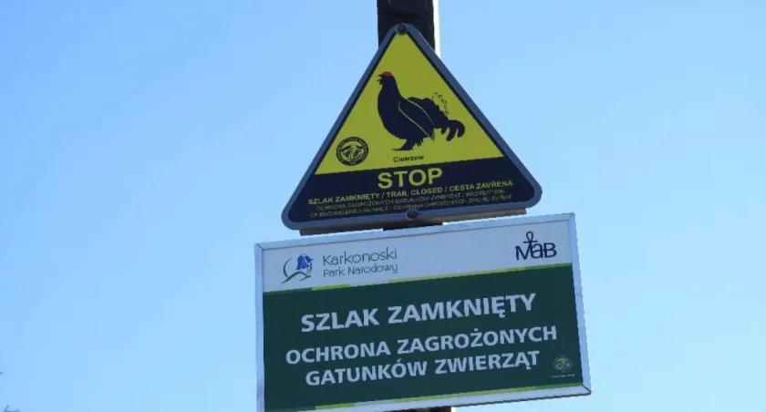 Od jutra Karkonoski Park Narodowy otworzy dwa szlaki