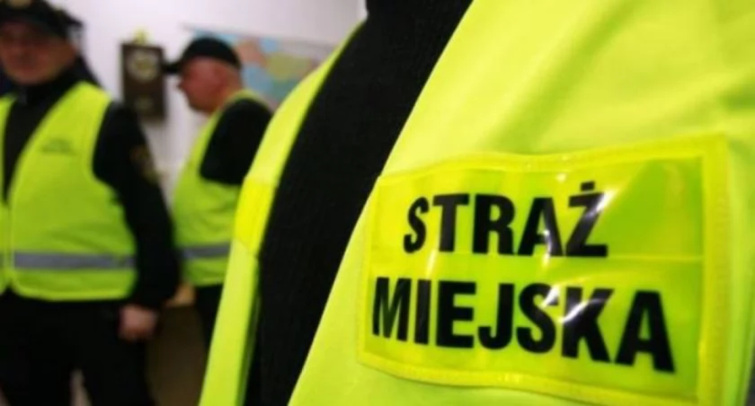 Sto interwencji strażników miejskich w weekend