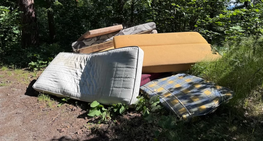 Ktoś wyrzucił stare materace do lasu w Zachełmiu