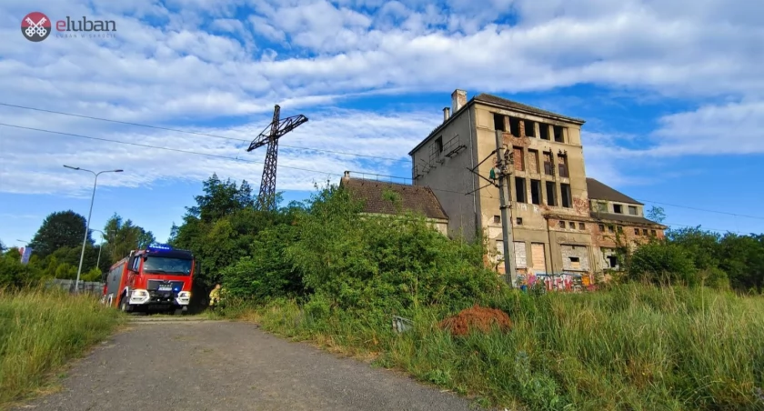 Śmiertelne porażenie prądem podczas próby kradzieży