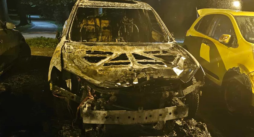 W weekend na parkingu przy Parku Norweskim spłonął samochód