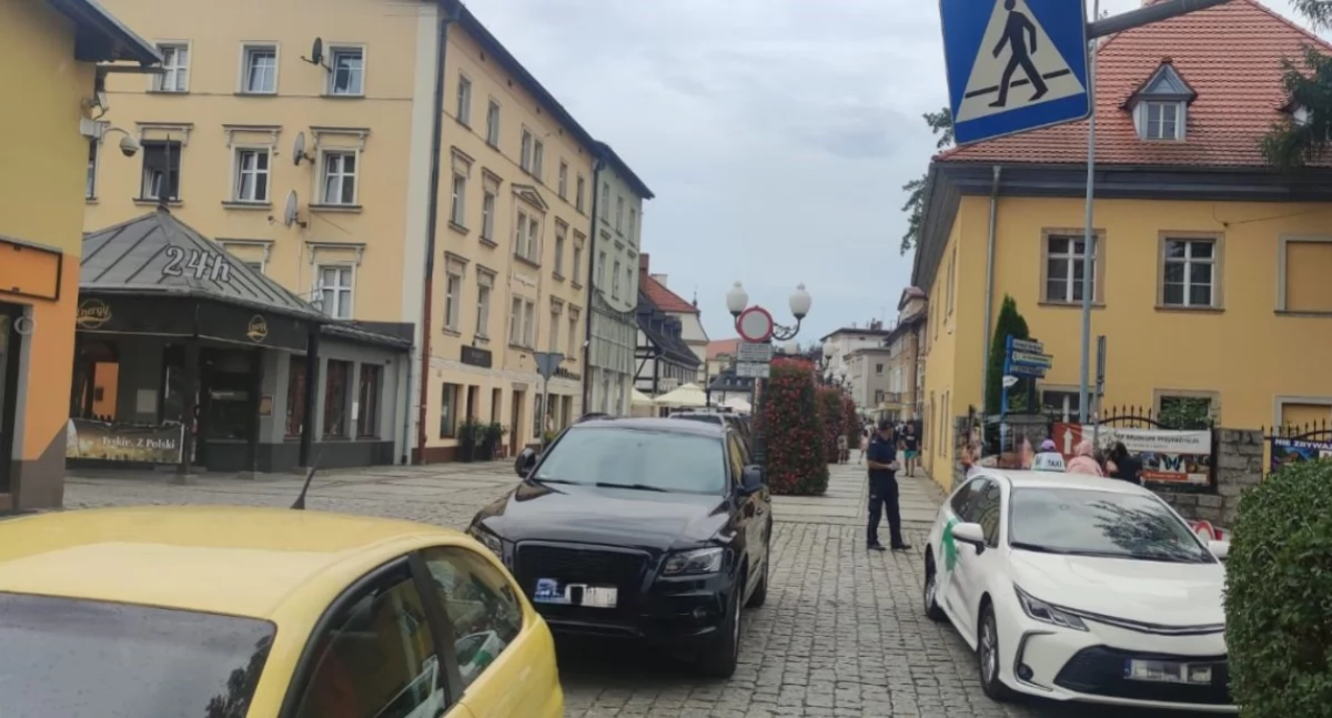 Mistrzowie Parkowania - część… kolejna