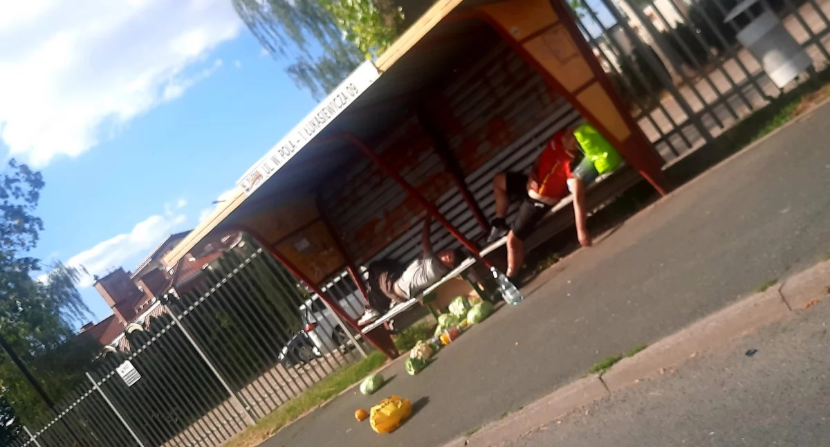 Menele i wandale czarną wizytówką miasta. Straż miejska interweniuje?