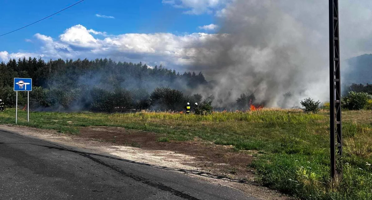 Pożar traw w Piechowicach. Zamknięta droga między Pakoszowem a Sobieszowem.