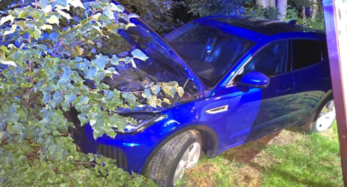Uciekając Jaguarem przed policją wjechała w zarośla