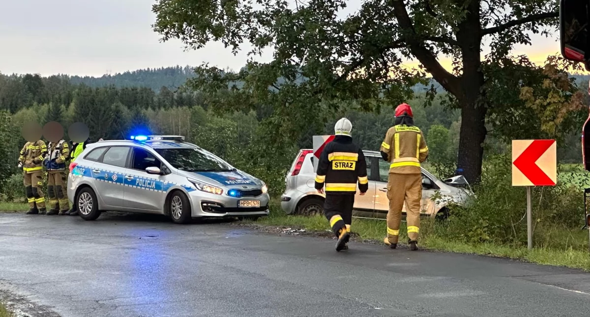 Wypadł z drogi i uderzył w drzewo. Utrudnienia na drodze z Pakoszowa do Sobieszowa