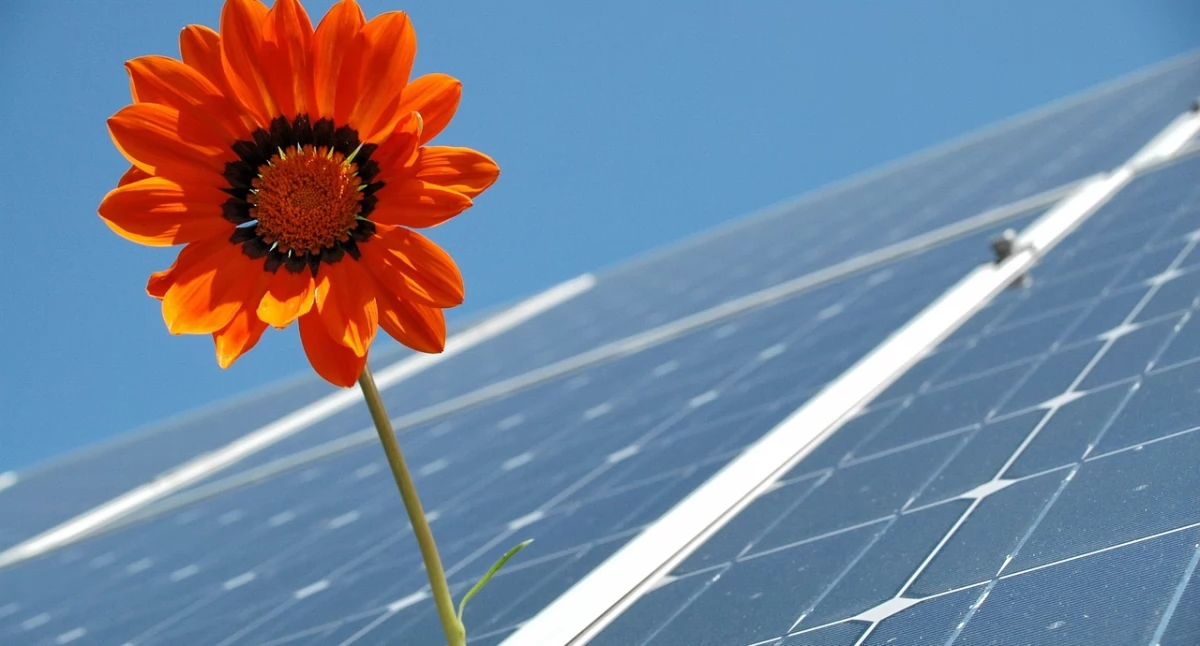 Jak zrealizować inwestycję z wykorzystaniem Odnawialnych Źródeł Energii