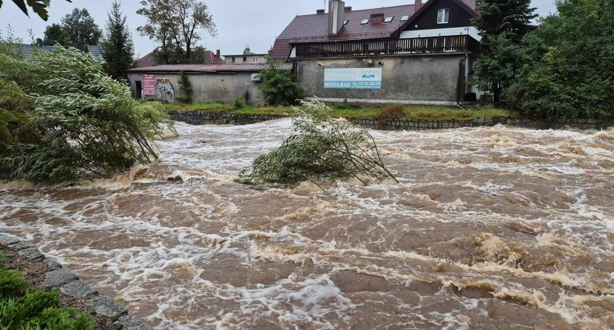 Kamienna szaleje w Piechowicach