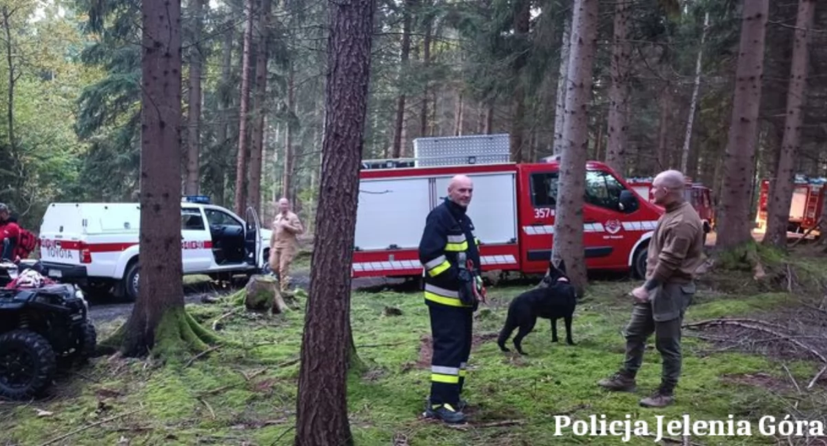 90-letnia kobieta zaginęła w lesie. Intensywne poszukiwania w Kostrzycy i okolicach