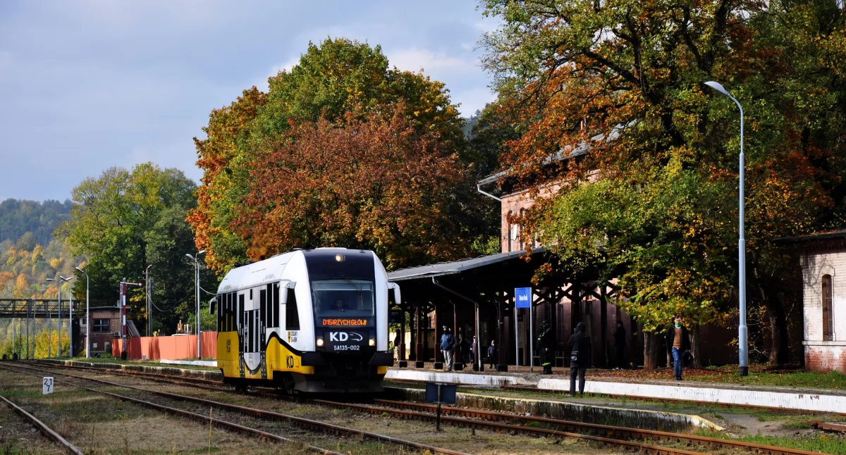 Koleje Dolnośląskie inwestują w tabor. Są przetargi na zakup pociągów spalinowych
