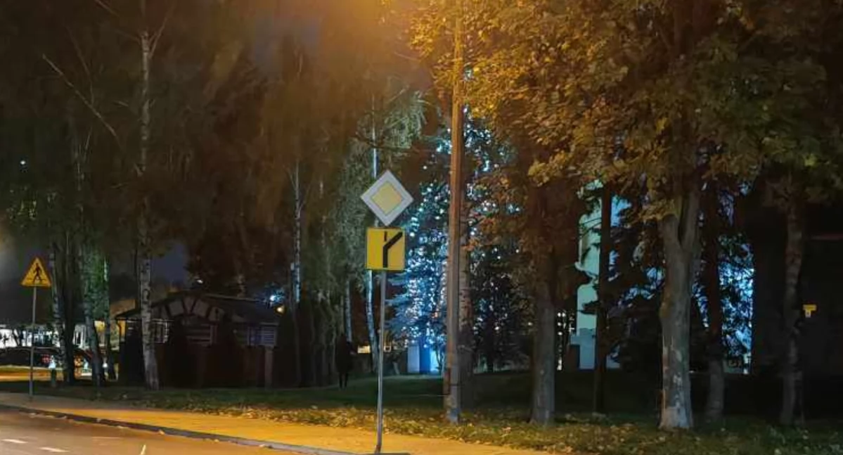 Na Zabobrzu ubrali choinkę. To nie za wcześnie na świąteczne ozdoby?